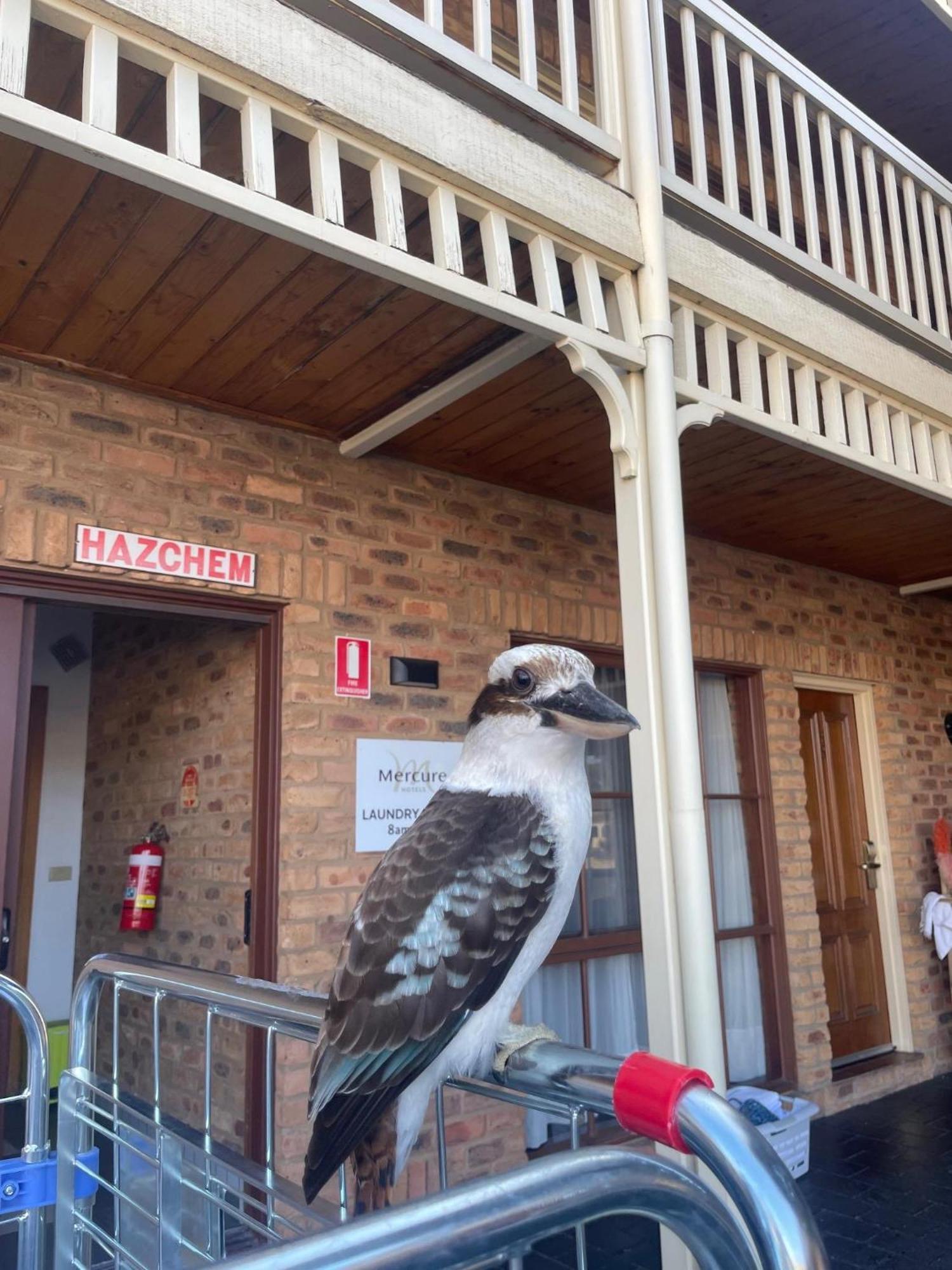 Mercure Port Of Echuca Εξωτερικό φωτογραφία